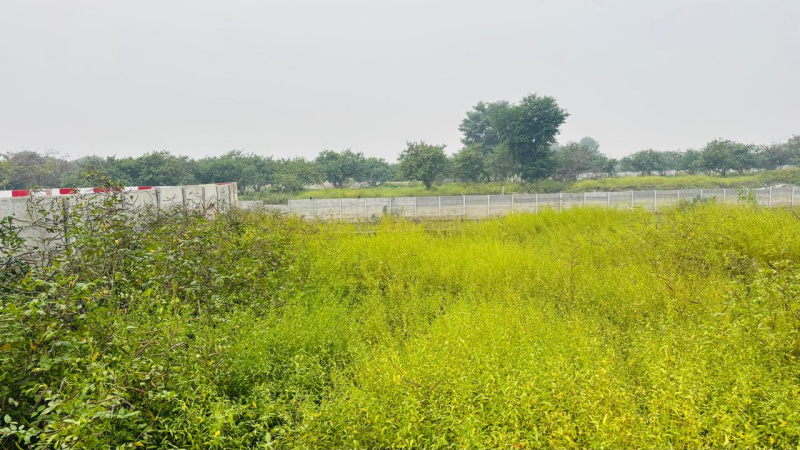  2100 Sq.ft. Residential Plot for Sale in Janaura Road, Faizabad