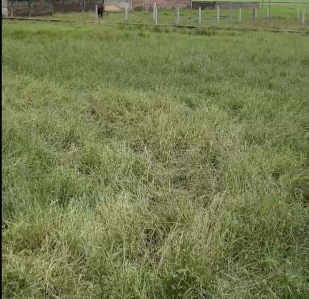  8712 Sq.ft. Warehouse for Rent in Daladili, Ranchi