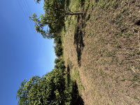  Residential Plot for Sale in Kelwa, Palghar