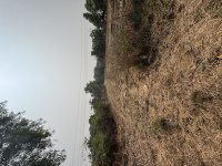  Residential Plot for Sale in Kelwa, Palghar