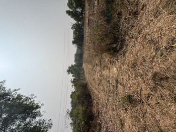  Residential Plot for Sale in Kelwa, Palghar