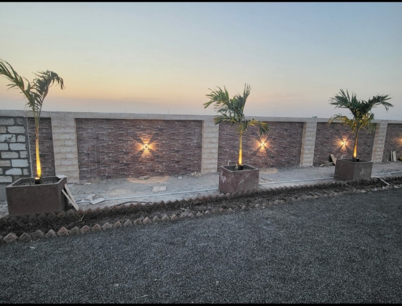  1000 Sq.ft. Residential Plot for Sale in Dholera, Ahmedabad