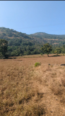  44000 Sq.ft. Agricultural/Farm Land for Sale in Lonavala, Pune
