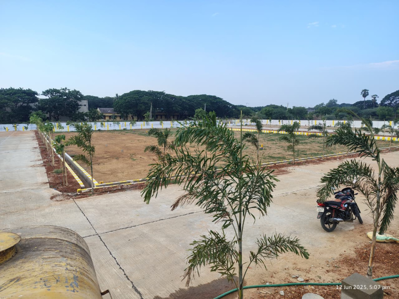  1800 Sq.ft. Residential Plot for Sale in Santhi Nagar, Nellore