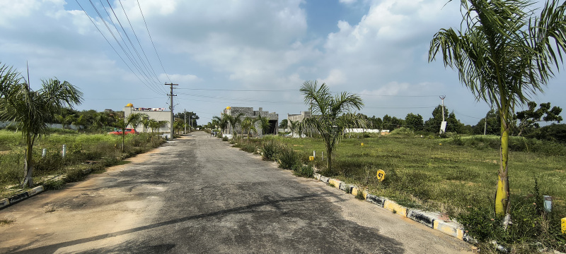 1200 Sq.ft. Residential Plot for Sale in Achettipalli, Hosur