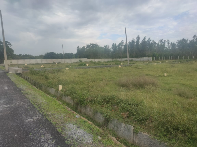 1200 Sq.ft. Residential Plot for Sale in Anekal, Hosur