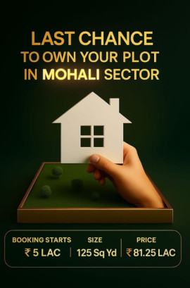  1125 Sq.ft. Residential Plot for Sale in Sector 110 Mohali