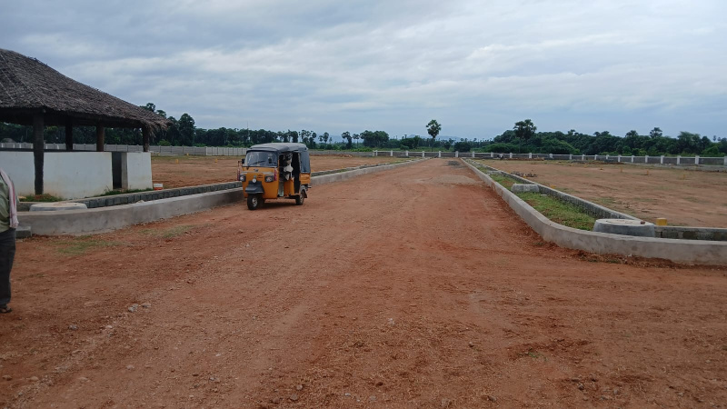  167 Sq. Yards Residential Plot for Sale in Polipalli, Visakhapatnam