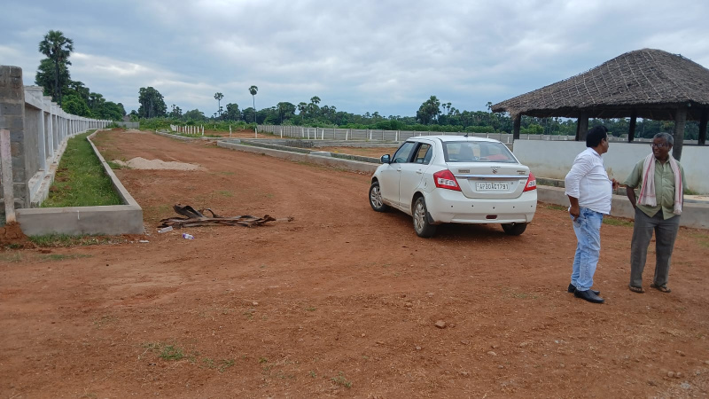  167 Sq. Yards Residential Plot for Sale in Polipalli, Visakhapatnam