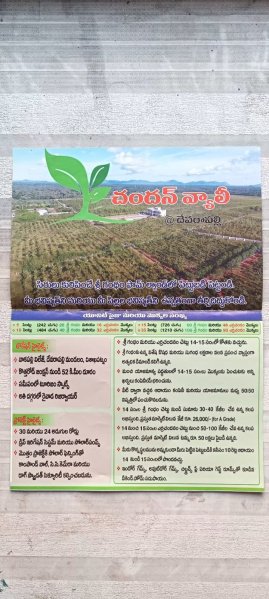  100 Sq. Yards Agricultural/Farm Land for Sale in Devarapalli, Visakhapatnam