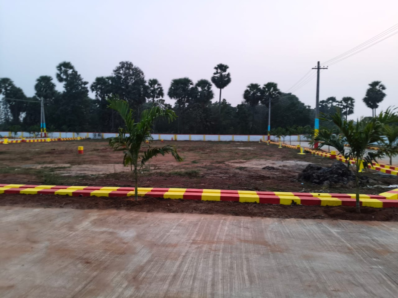  167 Sq. Yards Residential Plot for Sale in Chelluru, Vizianagaram