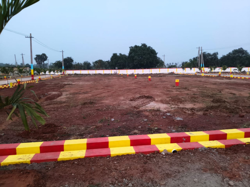  167 Sq. Yards Residential Plot for Sale in Chelluru, Vizianagaram