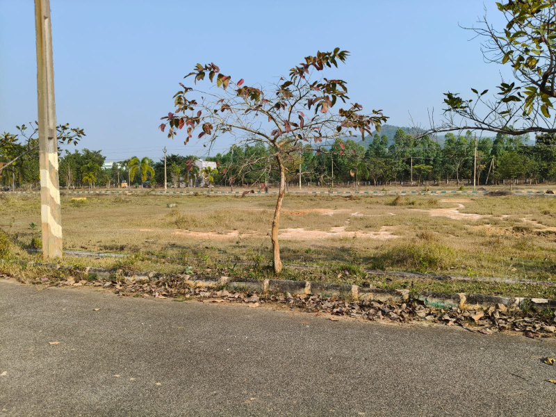  574 Sq. Yards Residential Plot for Sale in Sontyam, Visakhapatnam