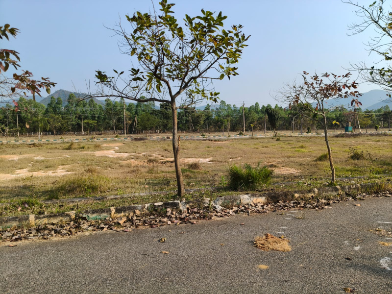  574 Sq. Yards Residential Plot for Sale in Sontyam, Visakhapatnam