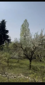  Residential Plot for Sale in Nishat, Srinagar