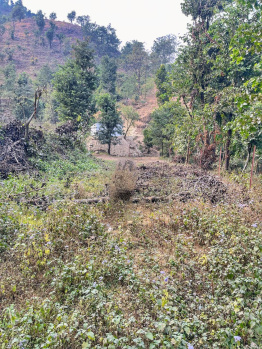 Residential Plot for Sale in maldevta, Dehradun, Dehradun