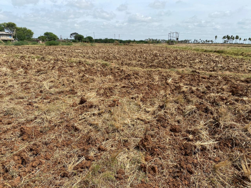  9 Acre Agricultural/Farm Land for Sale in Kampli, Bellary