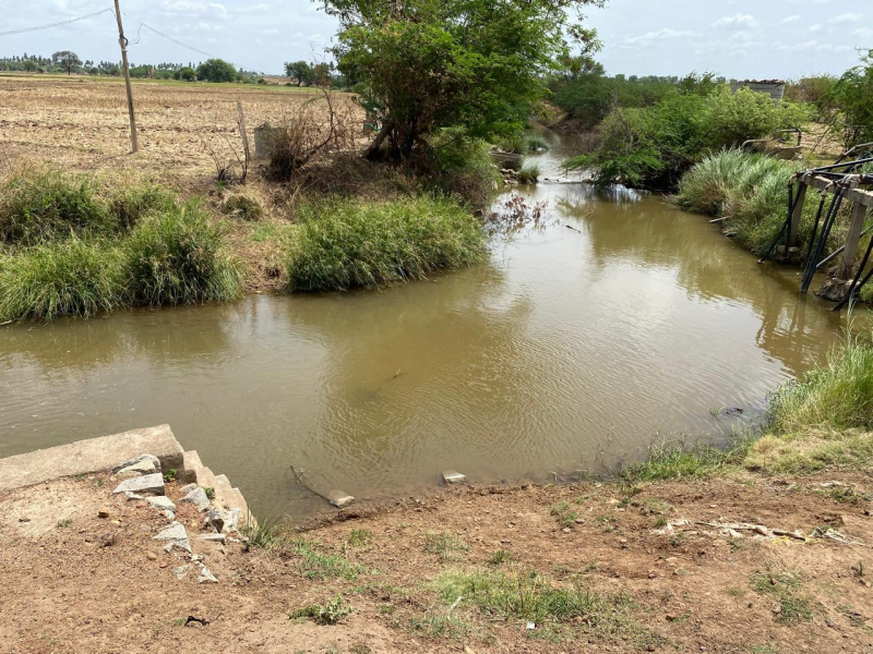  9 Acre Agricultural/Farm Land for Sale in Kampli, Bellary