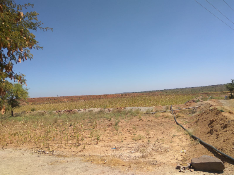  26 Acre Agricultural/Farm Land for Sale in Kerur, Bagalkot