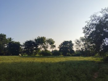  Agricultural Land for Sale in Dairy Road, Nadiad