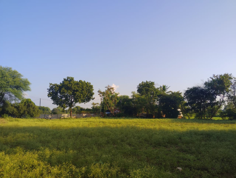  34 Guntha Agricultural/Farm Land for Sale in Dairy Road, Nadiad