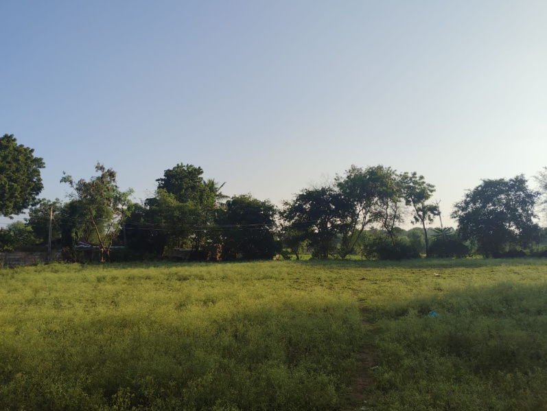  34 Guntha Agricultural/Farm Land for Sale in Dairy Road, Nadiad