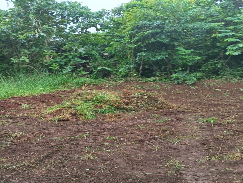  30 Cent Residential Plot for Sale in Padmanabhapuram, Kanyakumari