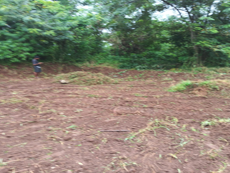  30 Cent Residential Plot for Sale in Padmanabhapuram, Kanyakumari