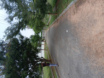  Residential Plot for Sale in Bangarapet, Kolar