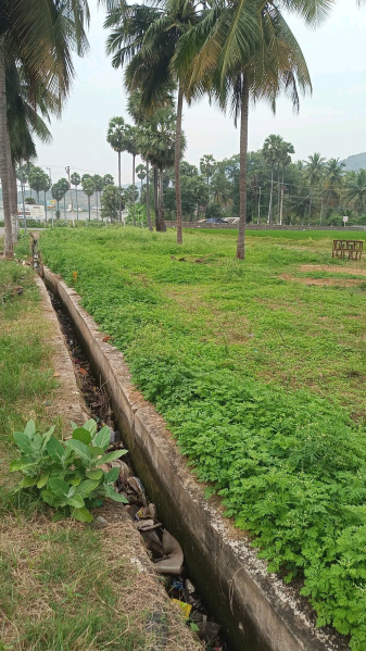  1670 Sq.ft. Residential Plot for Sale in Gorimedu, Salem