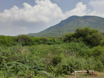  Residential Plot for Sale in Govindanaickenpalayam, Coimbatore