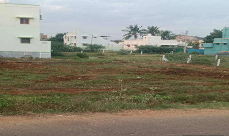  19 Cent Residential Plot for Sale in Rajapalayam, Virudhunagar