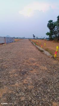 Residential Plot for Sale in Burugupudi, Rajahmundry