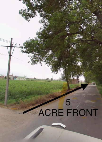  5 Ares Agricultural/Farm Land for Sale in Sector 20, Sirsa