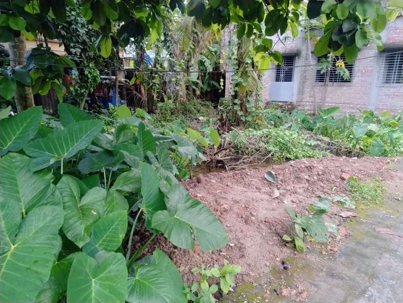  1080 Sq.ft. Residential Plot for Sale in Purba Barisha, Kolkata