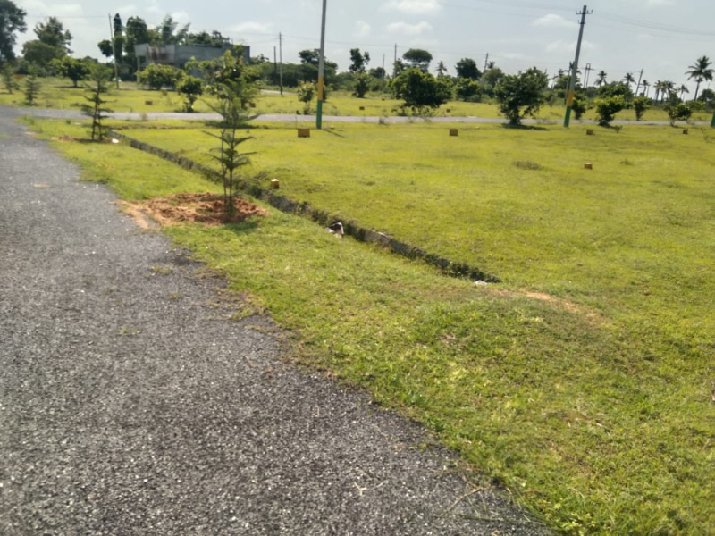  1200 Sq.ft. Residential Plot for Sale in Chikkaballapur, Bangalore