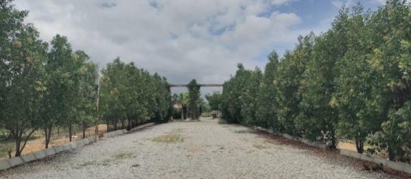  1200 Sq.ft. Residential Plot for Sale in Madhugiri, Tumkur