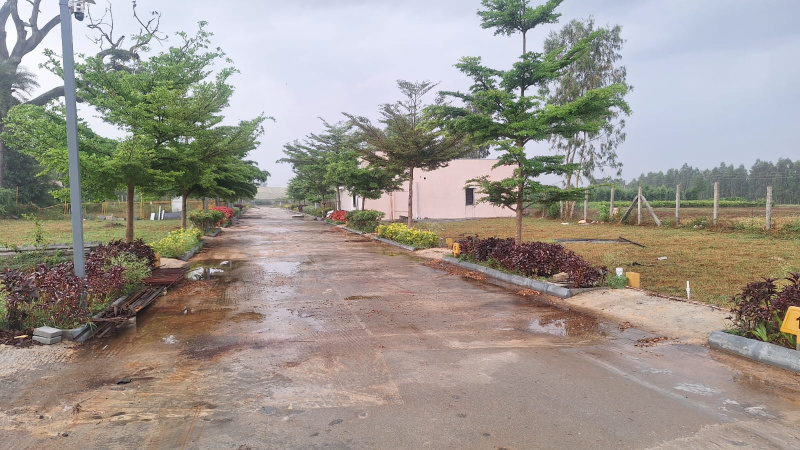  1200 Sq.ft. Residential Plot for Sale in Anekal, Bangalore