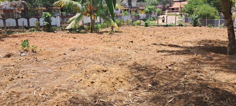  10 Cent Residential Plot for Sale in Nooranad, Alappuzha