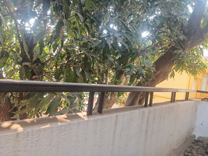  650 Sq.ft. Office Space for Rent in Kadru, Ashok Nagar, Ranchi