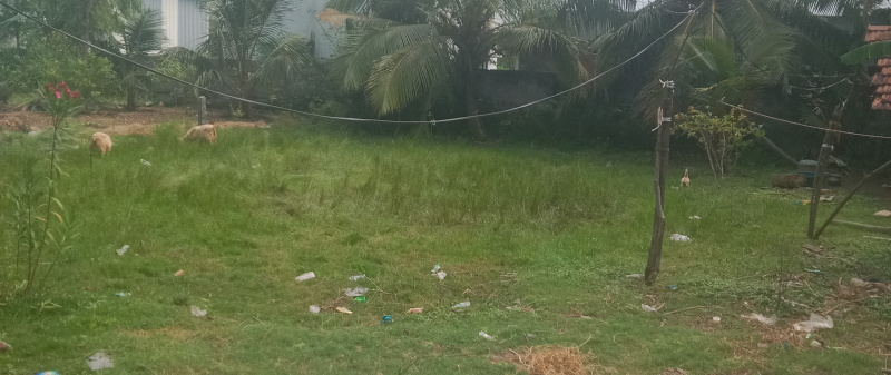  4730 Sq.ft. Commercial Land for Sale in Kolathur, Salem