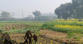  Residential Plot for Sale in Jaitpur Village, Greater Noida