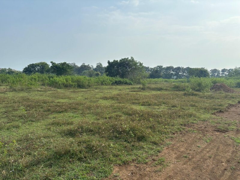  1500 Sq.ft. Residential Plot for Sale in Banki, Cuttack