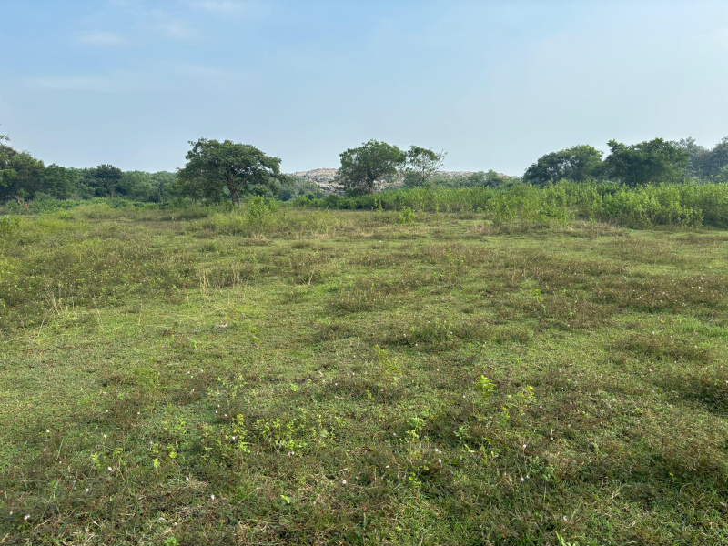  1500 Sq.ft. Residential Plot for Sale in Banki, Cuttack