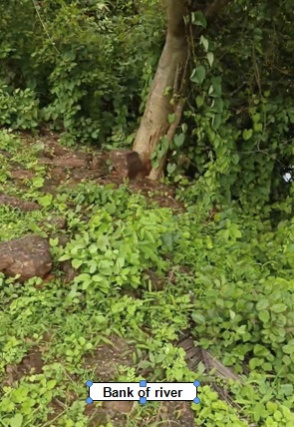  19 Guntha Agricultural/Farm Land for Sale in Ganpatipule, Ratnagiri