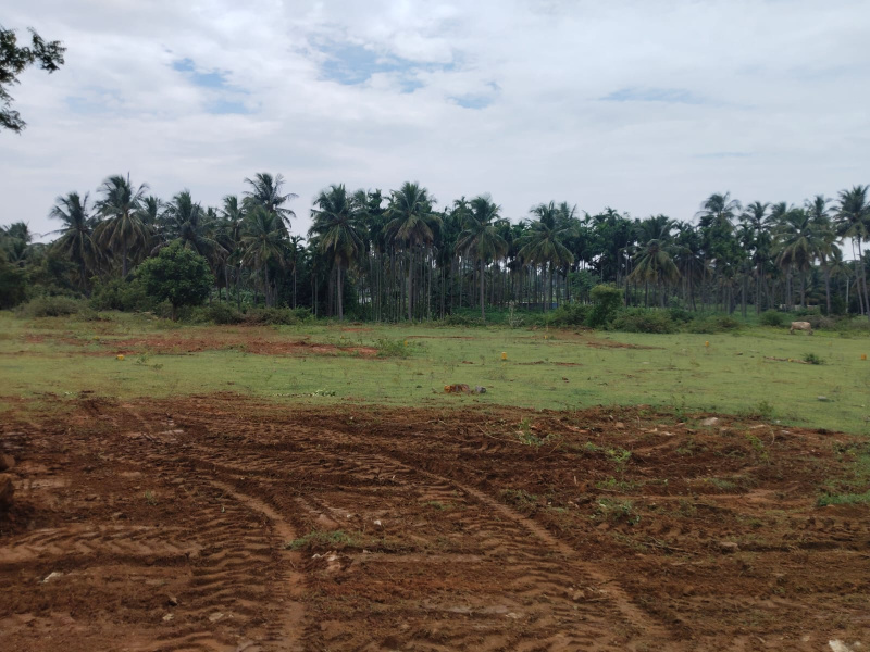  1080 Sq.ft. Commercial Land for Sale in Ayothiyapattinam, Salem