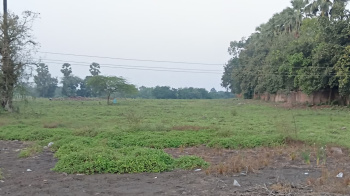 Industrial Land for Sale in Halol, Vadodara