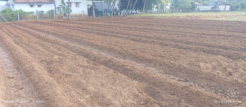 40 Cent Agricultural/Farm Land for Sale in Velur, Namakkal