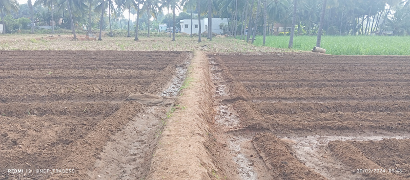  40 Cent Agricultural/Farm Land for Sale in Velur, Namakkal