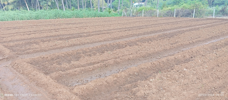  40 Cent Agricultural/Farm Land for Sale in Velur, Namakkal